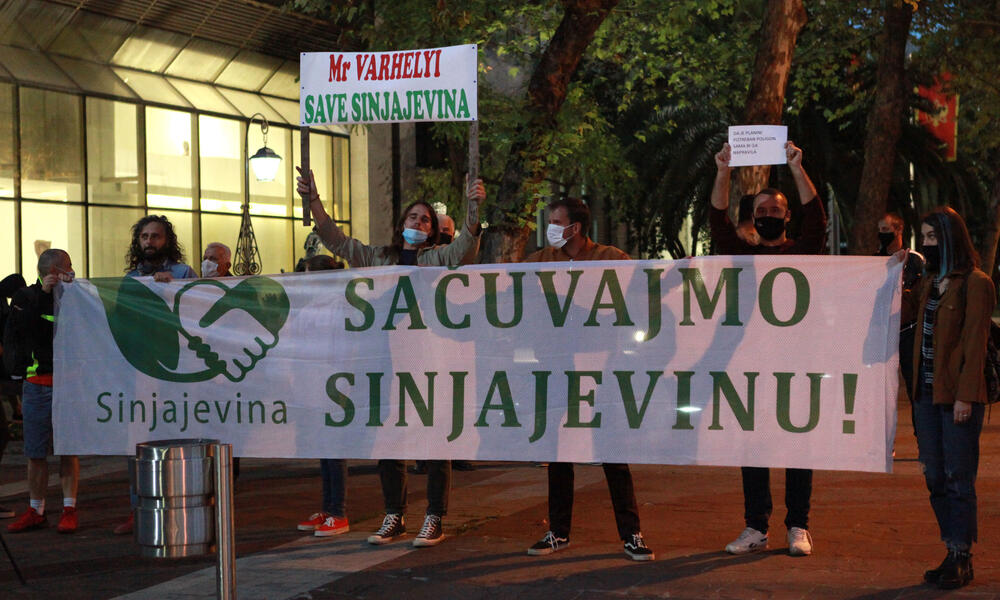 <p>Aktivisti su se okupili kako bi skrenuli pažnju evropskog komesara na peticiju za, kako je najavljeno, očuvanje Sinjajevine</p>