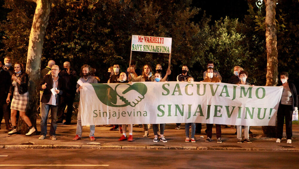 <p>Aktivisti su se okupili kako bi skrenuli pažnju evropskog komesara na peticiju za, kako je najavljeno, očuvanje Sinjajevine</p>