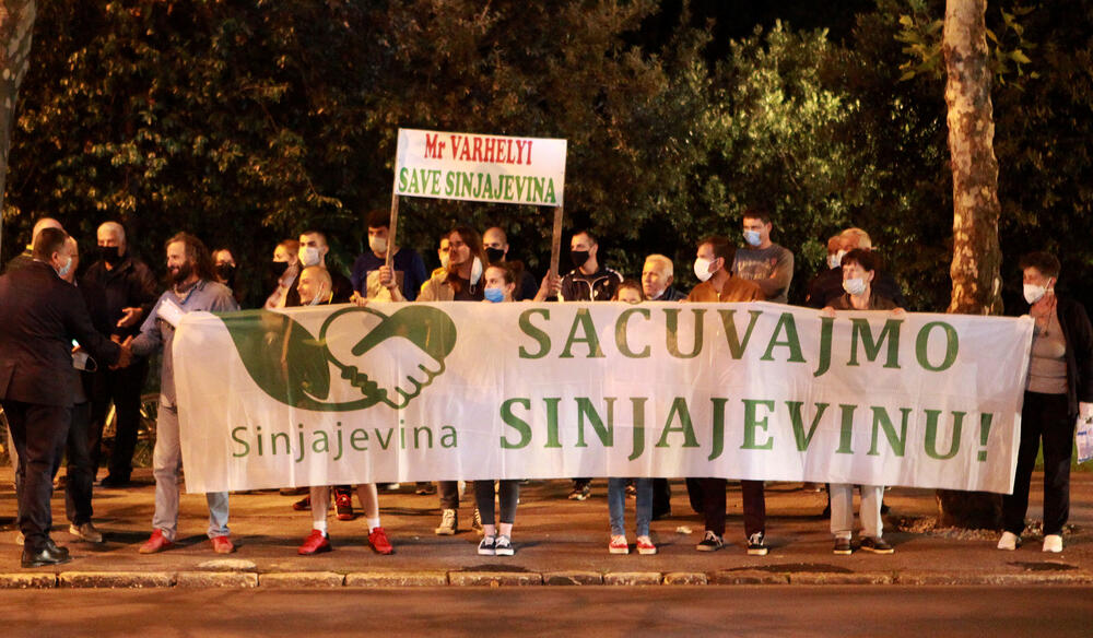 <p>Aktivisti su se okupili kako bi skrenuli pažnju evropskog komesara na peticiju za, kako je najavljeno, očuvanje Sinjajevine</p>