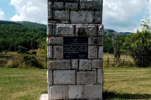 Ustanak, Dola i druge ratne priče