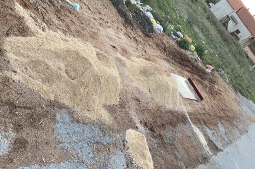 Foto: Komunalna policija