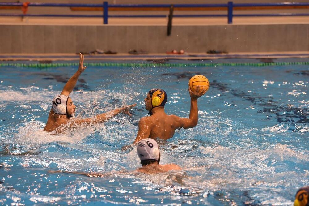 Foto: Krsto Vulović