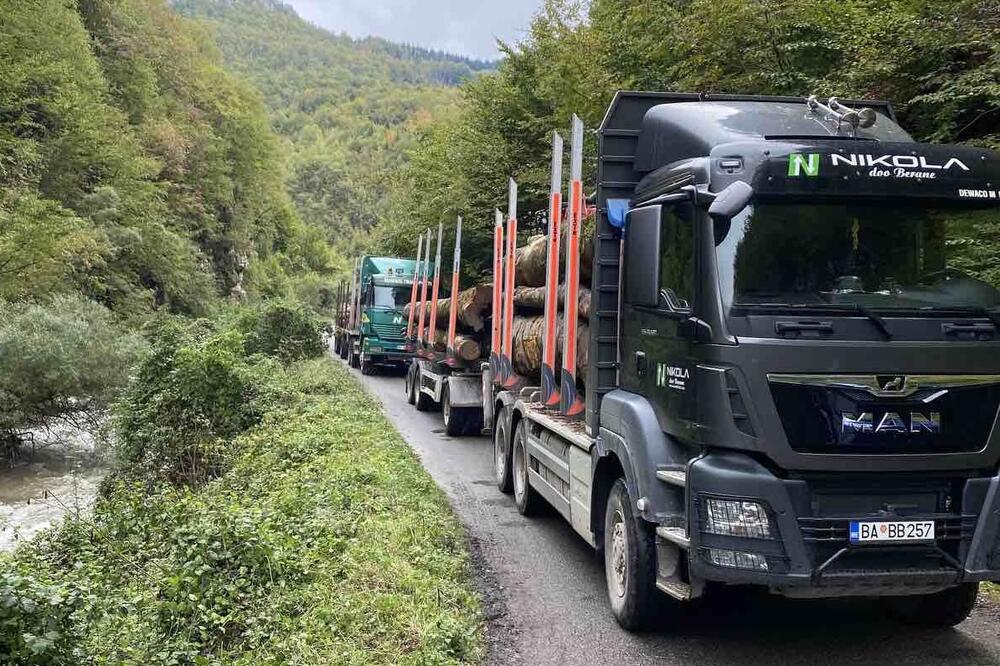 Kamioni DOO Nikola ubrzano prevoze posječenu šumu, Foto: Privatna arhiva