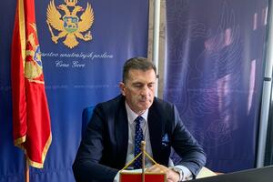 Pejanović: Neophodno jačanje saradnje sa Fronteksom, Europolom i...
