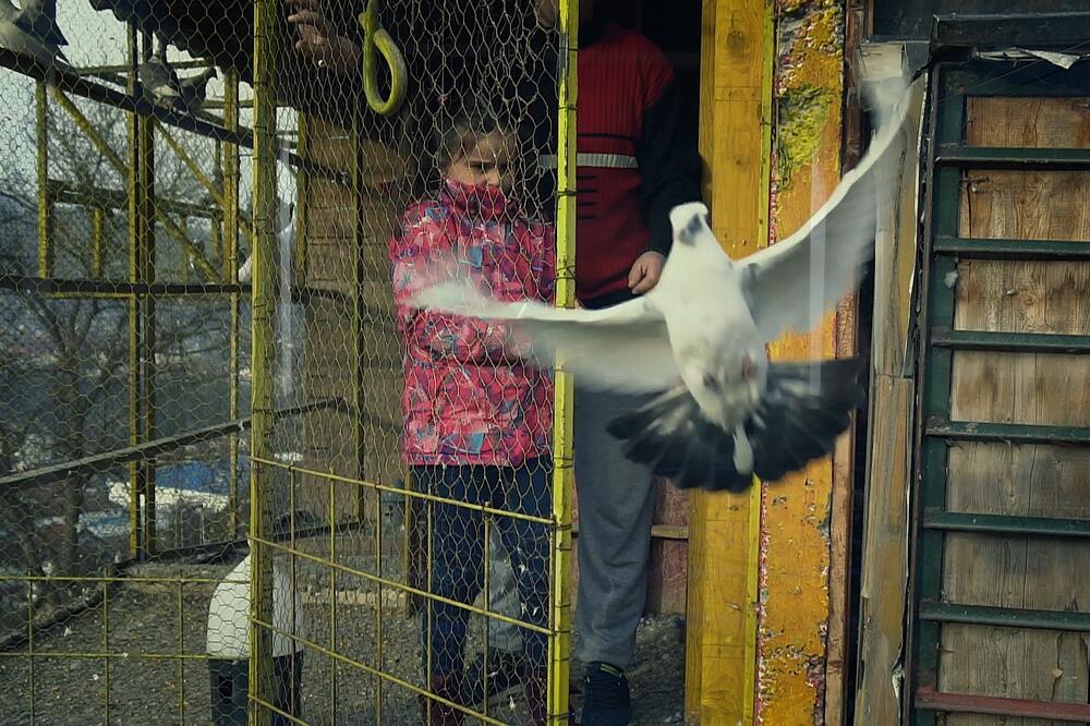 Bijeli golub kao simbol slobodnog duha: Kadar iz filma, Foto: Privatna arhiva