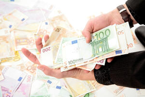 Srzentić: Država će sa više od 60 miliona eura subvencionisati...