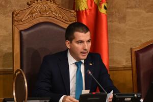 Bečić uputio Predlog da Pećanac dobije crnogorsko državljanstvo