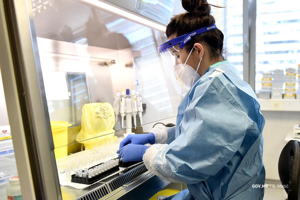 PCR testiranje i u ustanovama “Moj Lab” i “Dr Zejnilović”, Foto: Vlada/Saša Matić