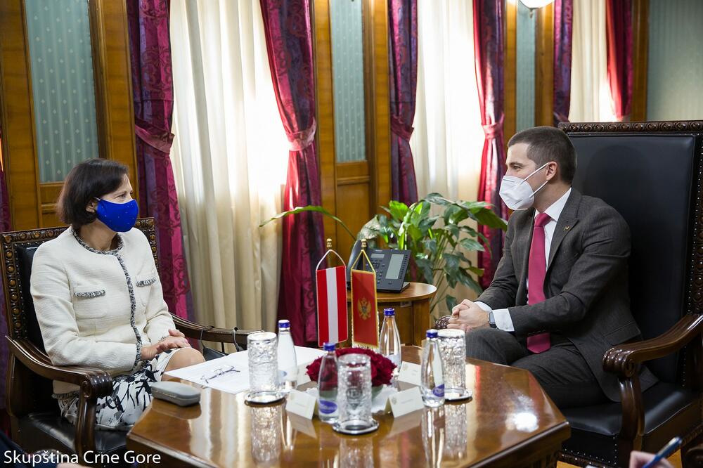 Janković i Bečić, Foto: Skupstina.me