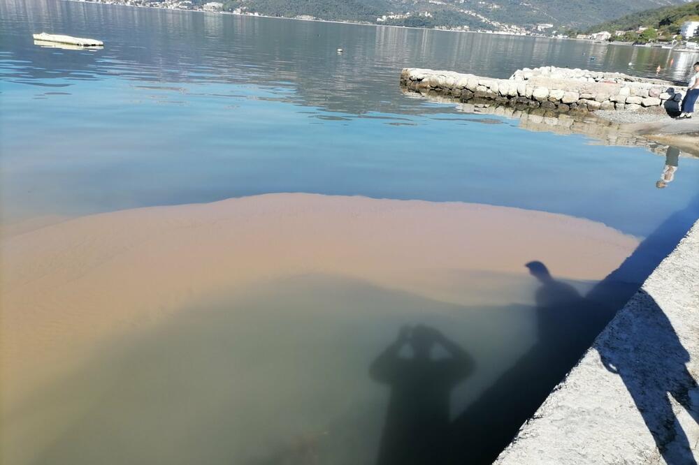 Foto: Siniša Luković