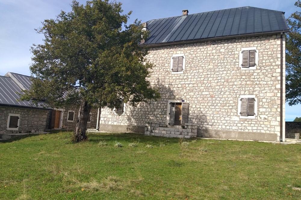 Kula Lazara Sočice, Foto: Svetlana Mandić