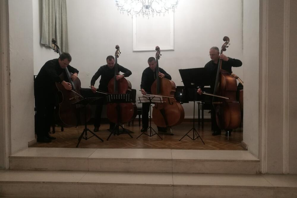 Sa koncerta u Kotoru, Foto: Tijana Jovović