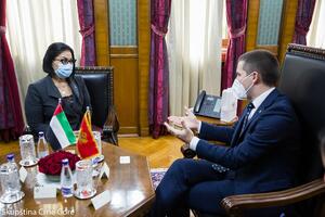 Alšamsi: Crna Gora nije samo prijatelj, već i strateški partner UAE