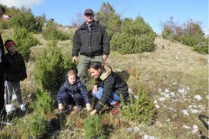 Sadnjom bijelog bora i smrče obilježeno 137 godine škole u...