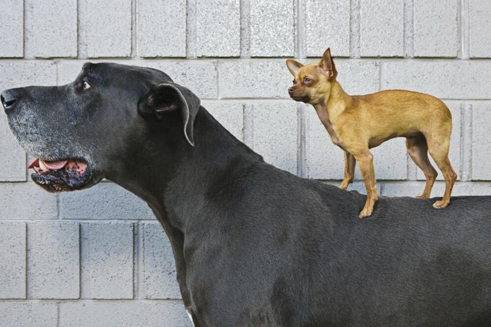 Ilustracija, Foto: Getty Images