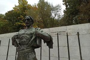 Srbija, istorija i Timočka buna: Kad se „digla kuka i motika"...