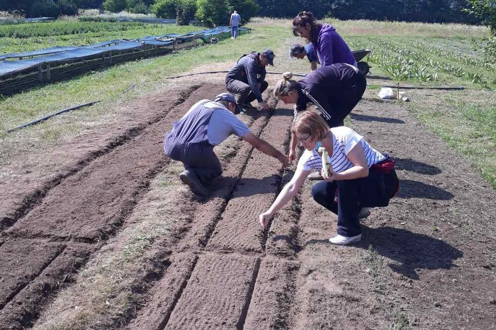 Praktična obuka za zainteresovane, Foto: NVO Natura