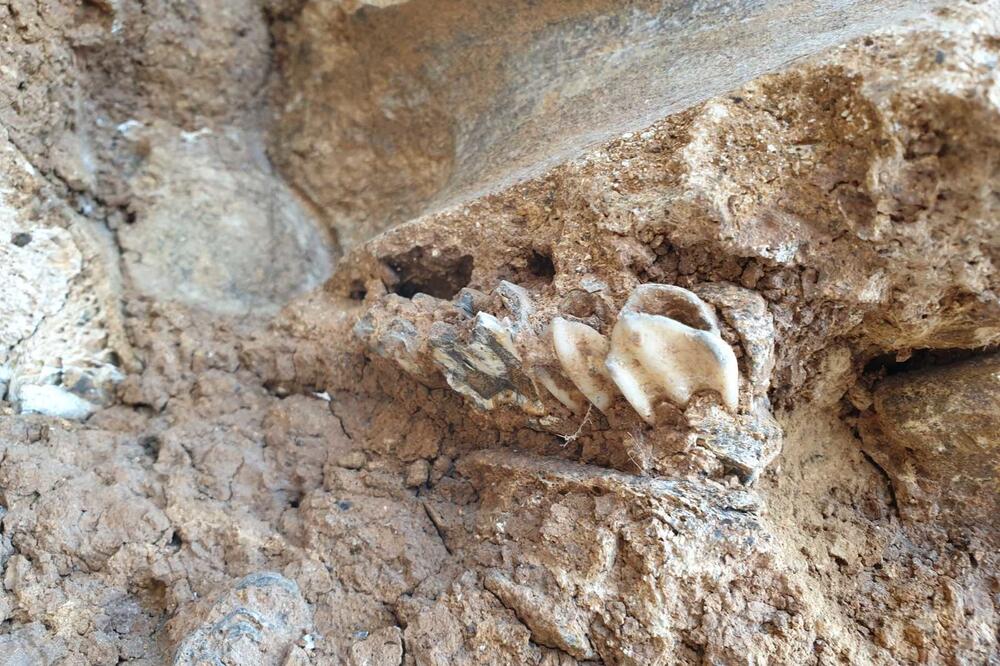 Ostaci u nalazištu nepovratno izgubljeni, Foto: Breznica