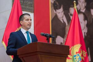 Bečić: Znanje stručnih saradnika oslonac poslanika