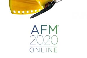 Filmski centar Crne Gore prvi put na American Film Marketu