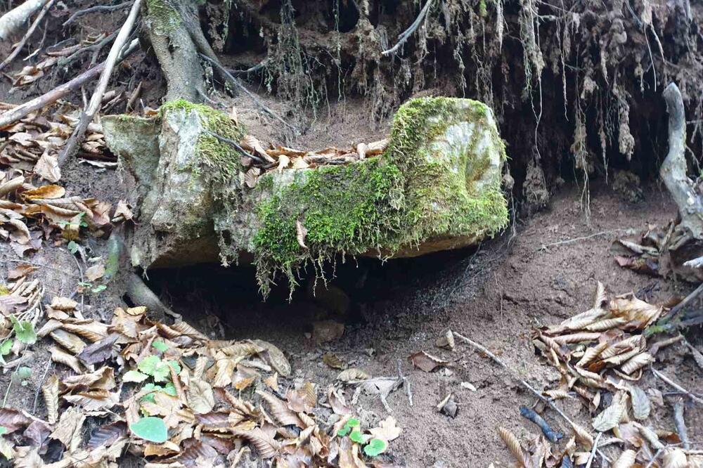 Arheološko nalazište na Trlici, Foto: Ekološko društvo Breznica