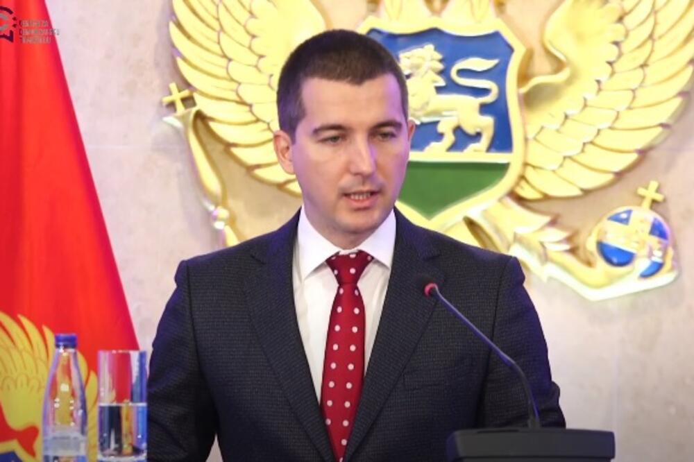 Bečić govori na konferenciji, Foto: Screenshot/Skupština Crne Gore