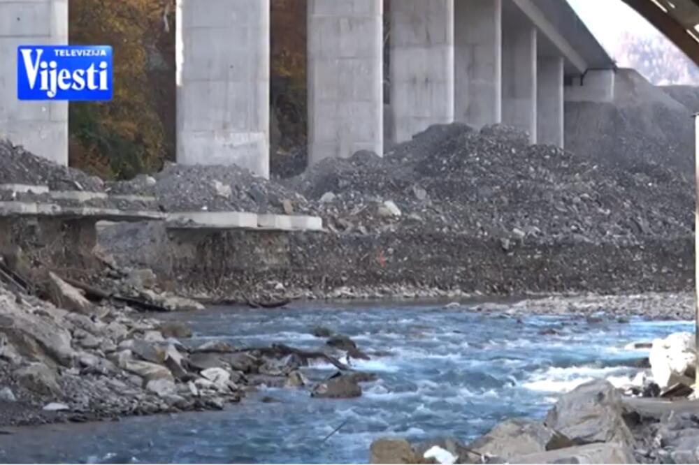 Tara, Foto: Printscreen YouTube