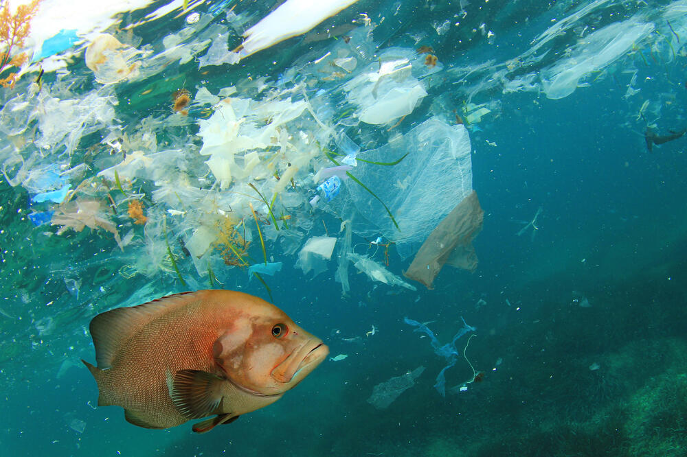 Procjenjuje se da će do 2050. u morima biti više plastike nego riba, Foto: Shutterstock