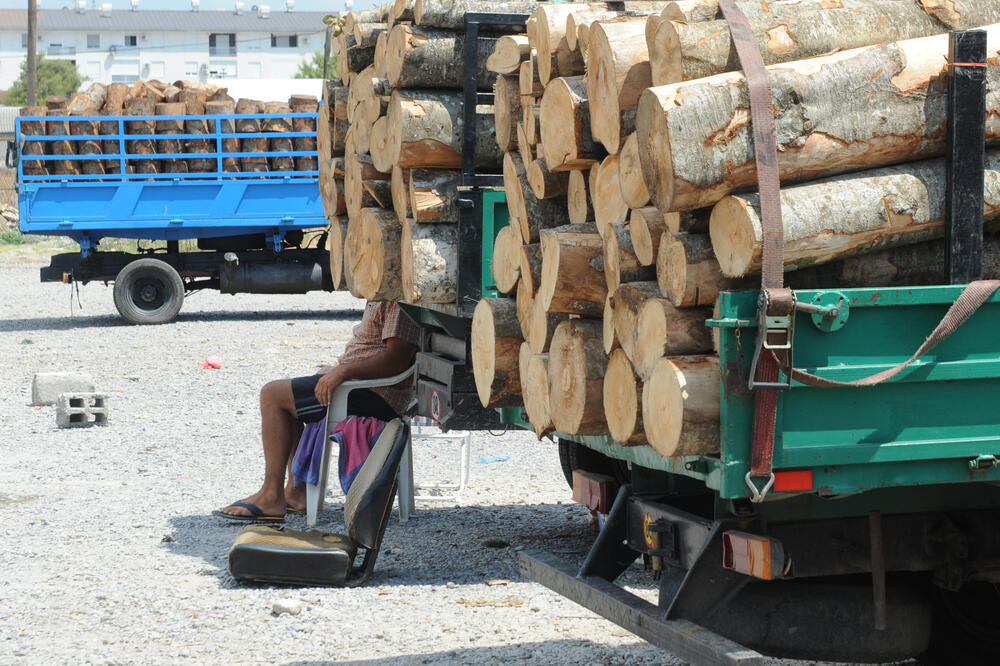 Izvoz ogrevnog drveta postao značajan biznis (Ilustracija), Foto: Savo Prelević