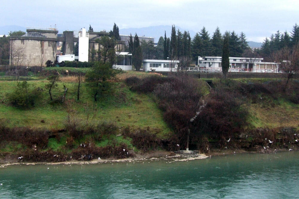 Dio DUP-a “Naselje 1. maj”, Foto: Vesko Belojević