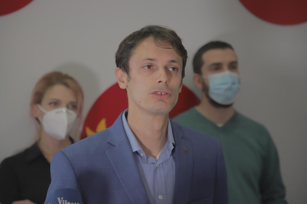 Mitrović, Foto: Demokratska Crna Gora