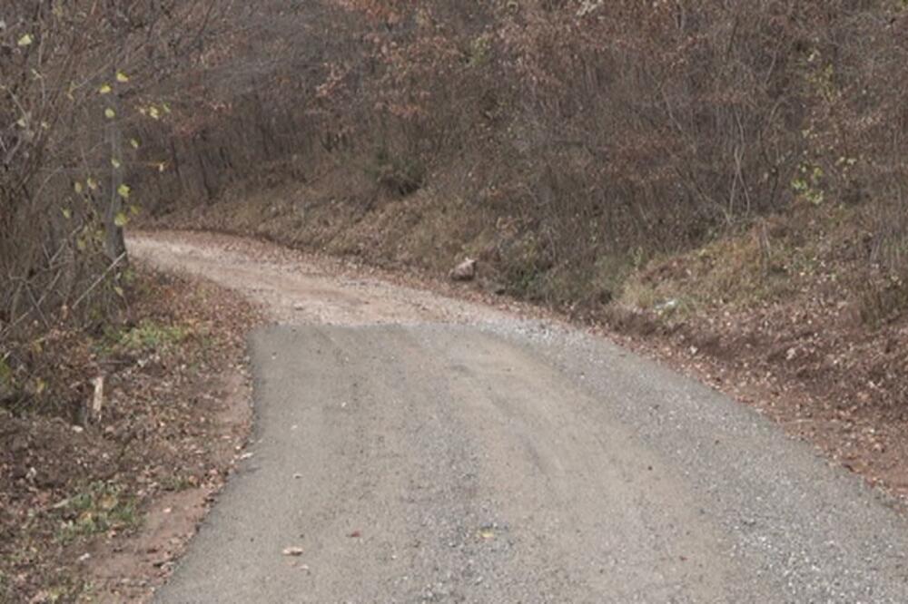 Put u Đurđevića Tari, Foto: Jadranka Ćetković