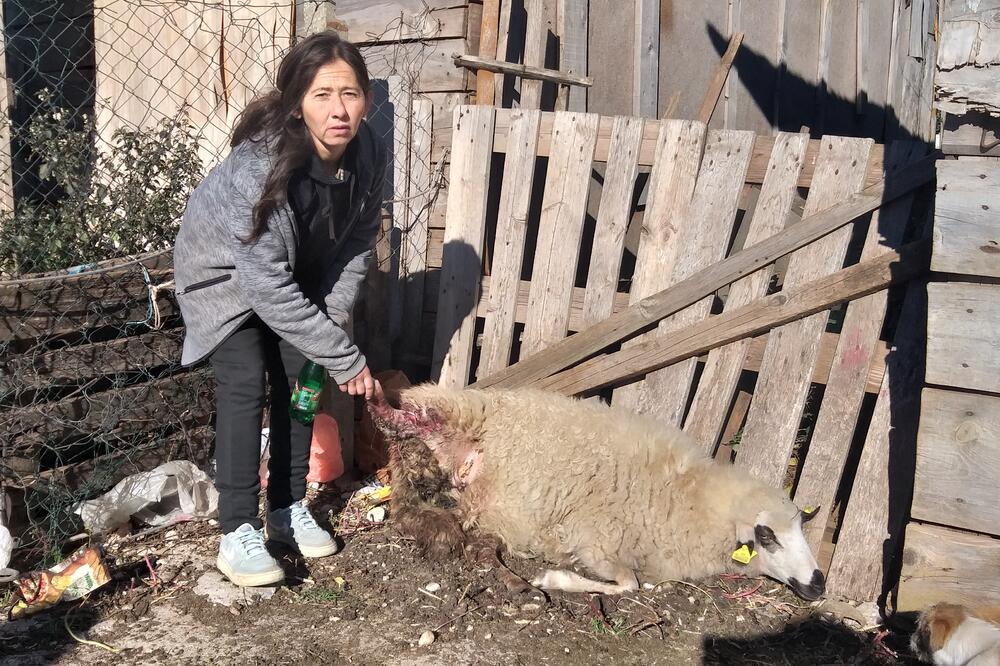 Slavka Ažović, Foto: Svetlana Mandić