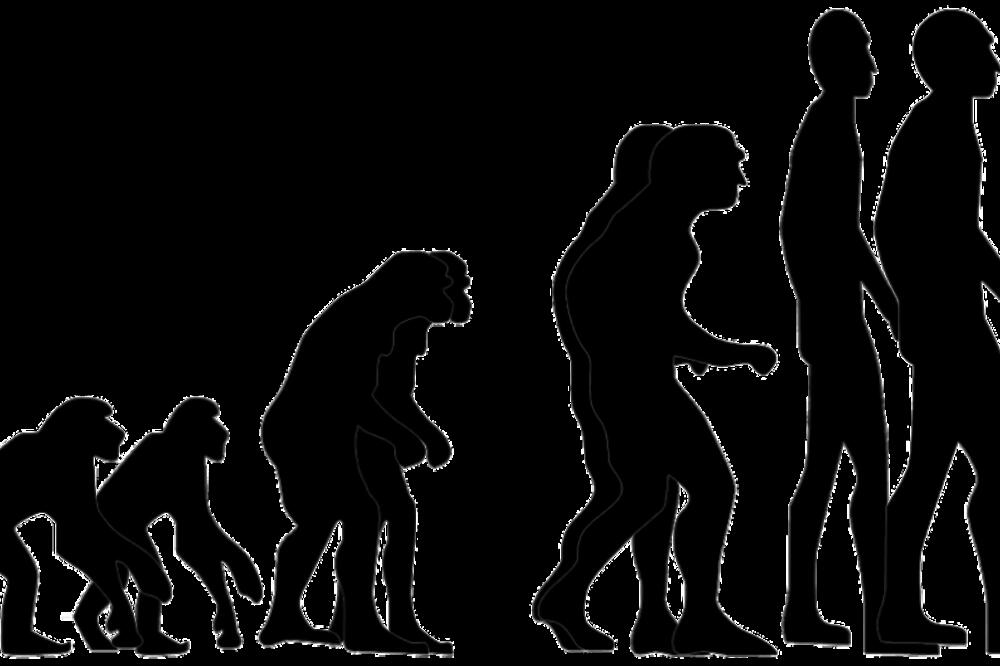 Ilustracija, Foto: Shutterstock