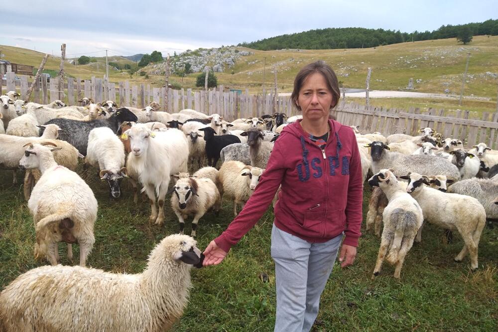 Foto: Svetlana Mandić