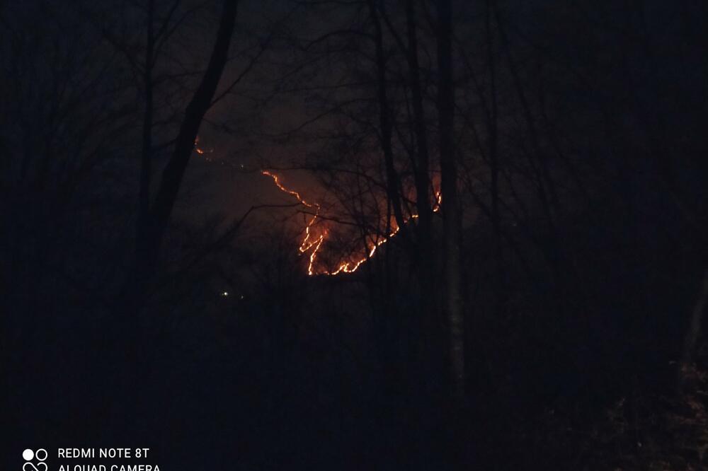 Požar u Ljutoj, Foto: Služba zaštite i spašavanja Kolašin