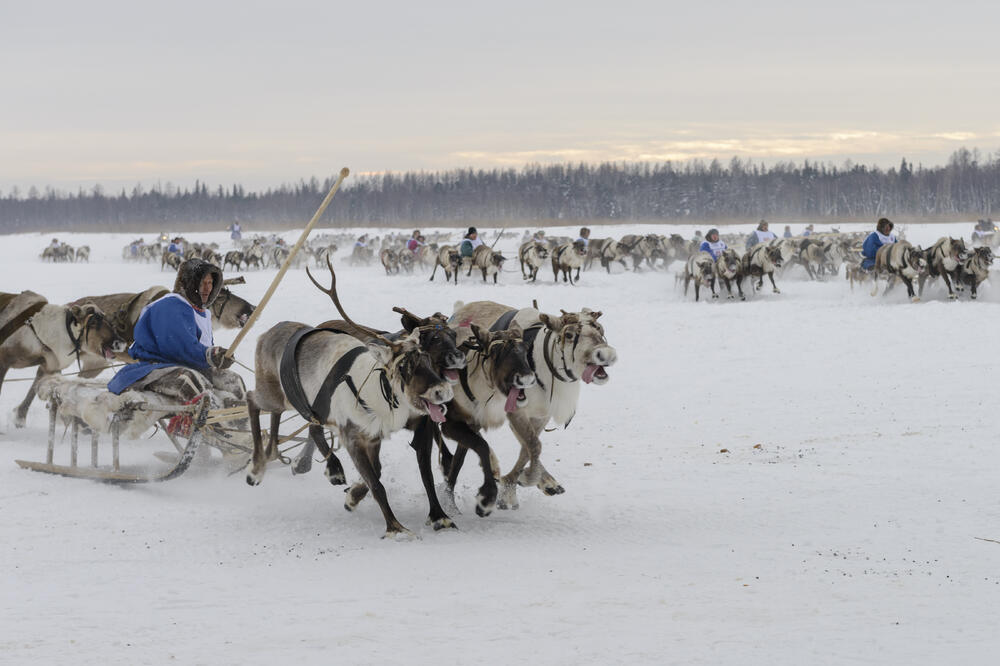Detalj sa krajnjeg sjevera Rusije, Foto: Shutterstock
