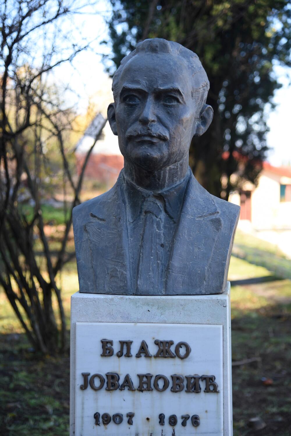 Bista Blaža Jovanovića ispred kuće