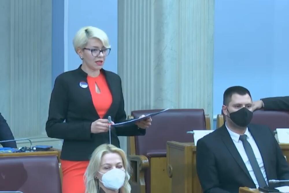 Božović u Skupštini, Foto: Screenshot