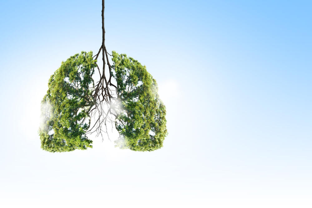 Ilustracija, Foto: Shutterstock