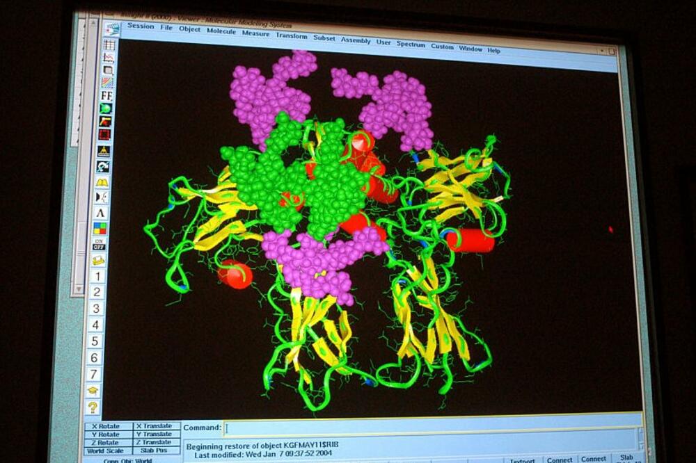 Protein vezan za receptor prikazan na kompjuteru., Foto: Getty Images