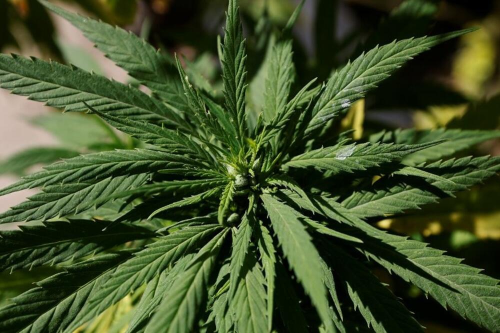 Ilustracija, Foto: Reuters