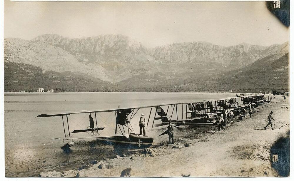 Šimike na plaži u Baru