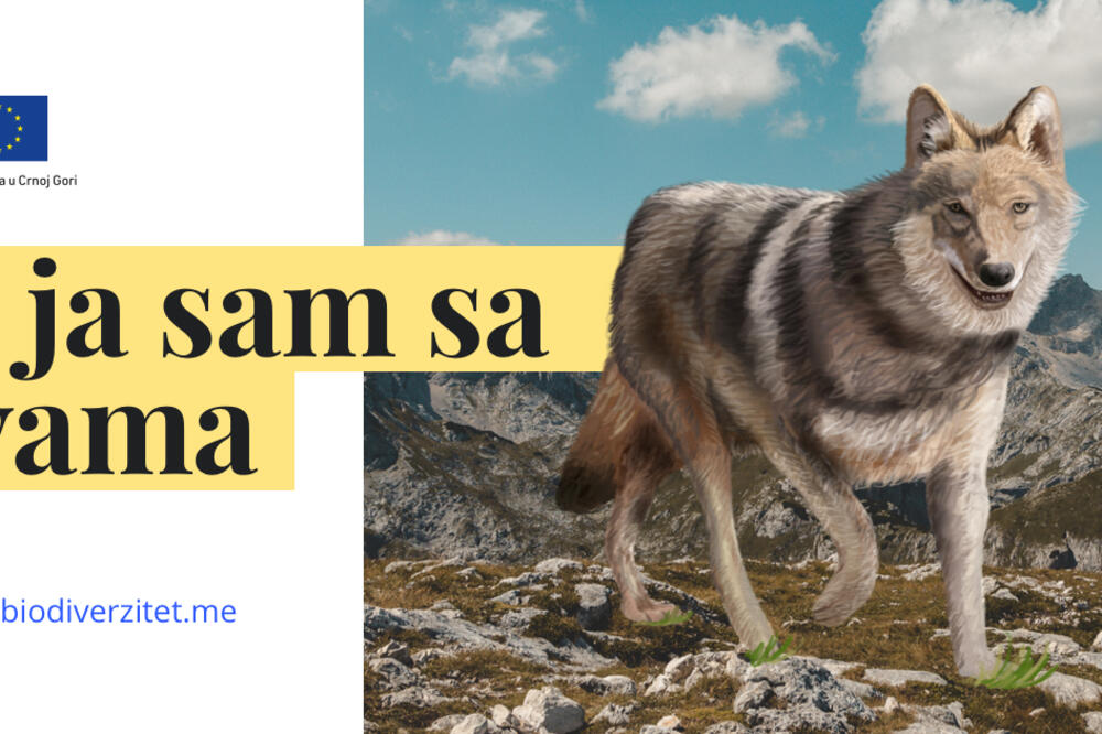 Foto: EU info centar