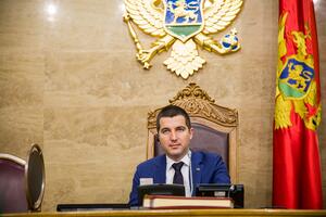 Bečić: Parlamentarni plenum platforma od izuzetne važnosti