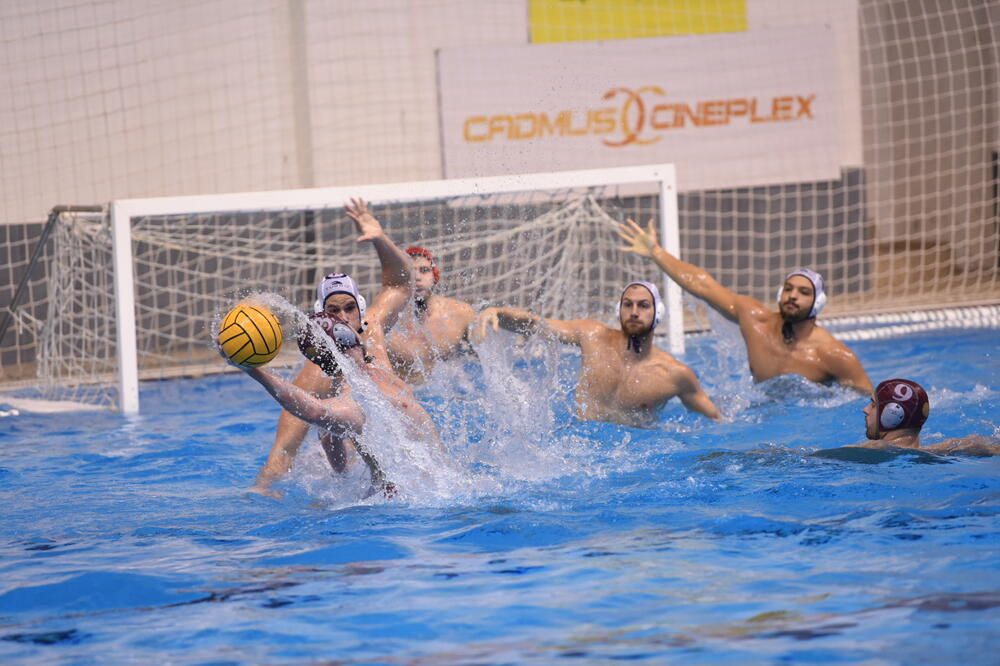 Foto: Krsto Vulović