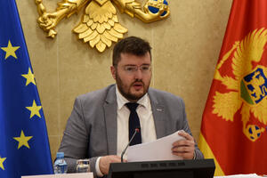 Koprivica: Ispitati Lazovića, bivše rukovodstvo UP i sve...