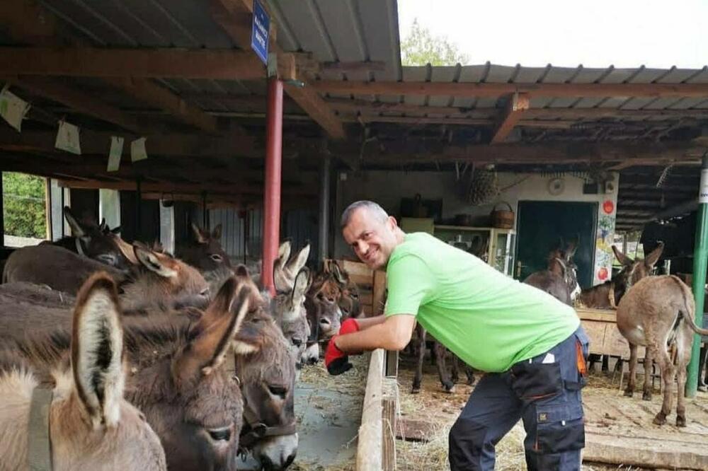 Sergej Trifunović na farmi, Foto: Farma magaraca Martinići