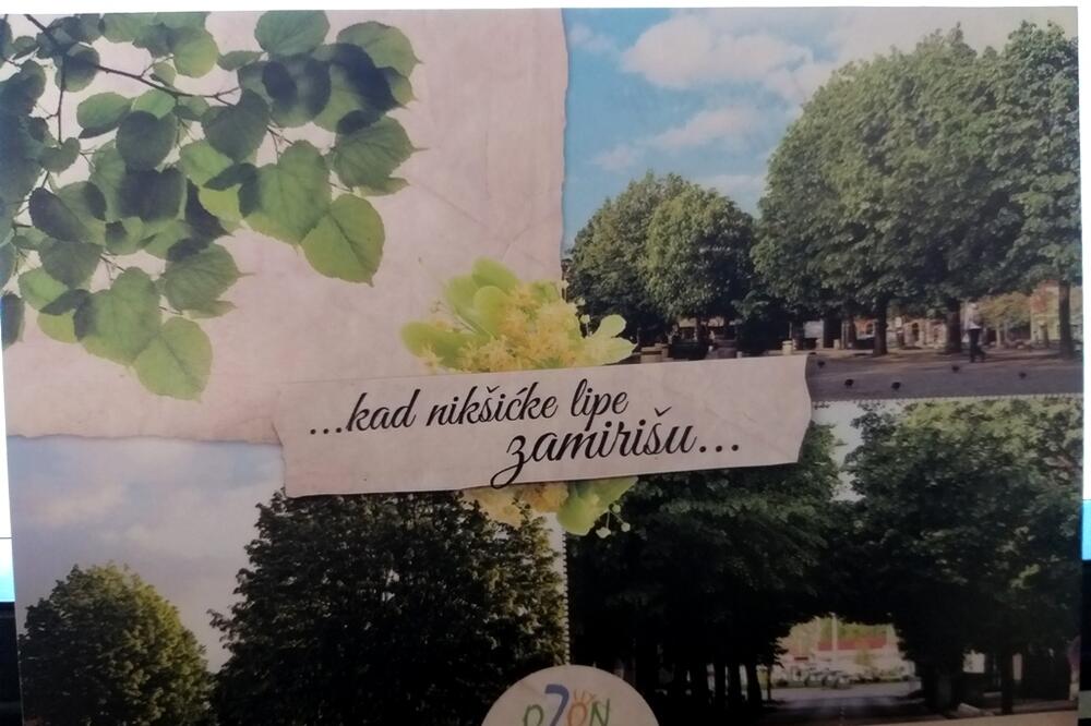 Foto: Svetlana Mandić