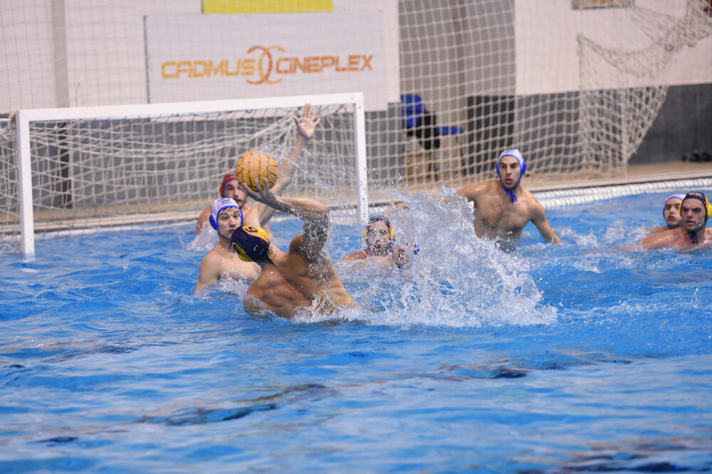 Foto: Krsto Vulović